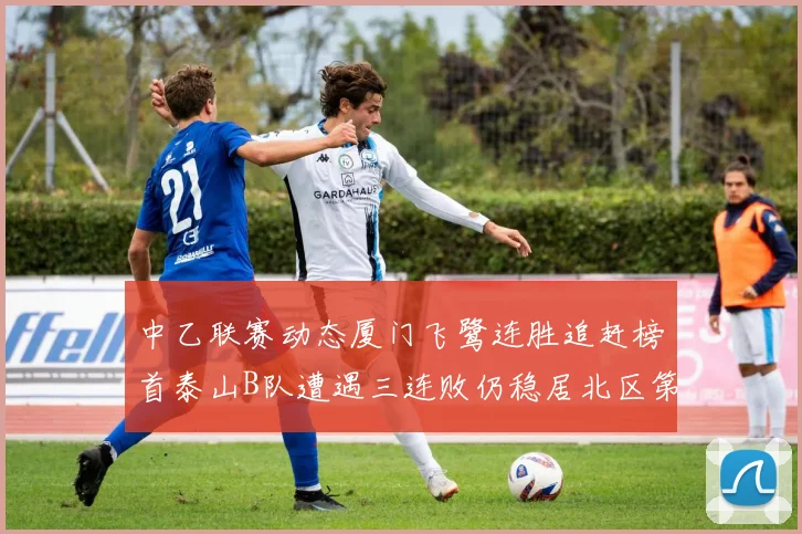 中乙联赛动态厦门飞鹭连胜追赶榜首泰山B队遭遇三连败仍稳居北区第三