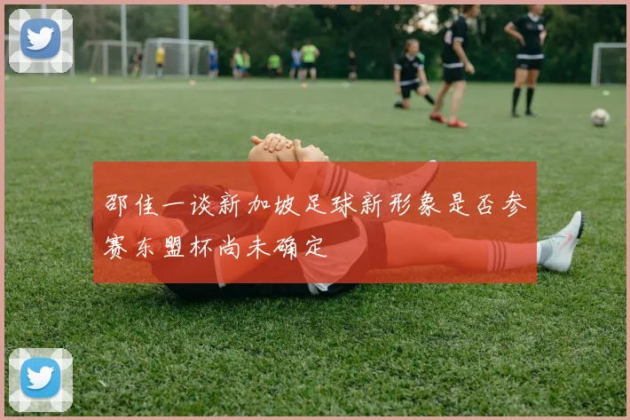 邵佳一谈新加坡足球新形象是否参赛东盟杯尚未确定
