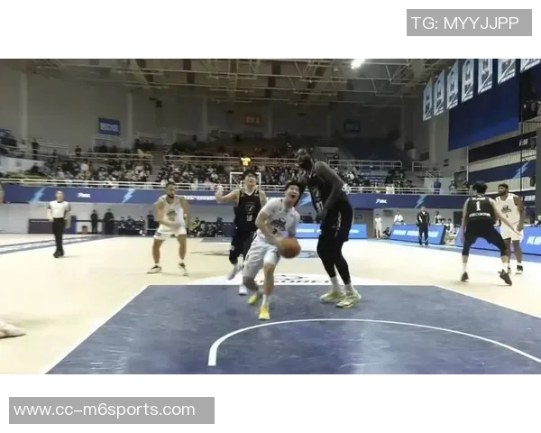 NBL今日战报：石家庄翔蓝险胜山东蜜獾张家口体文旅遭长沙勇胜逆转